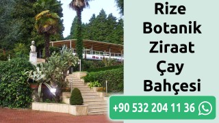 Rize Botanik Ziraat Çay Bahçesi